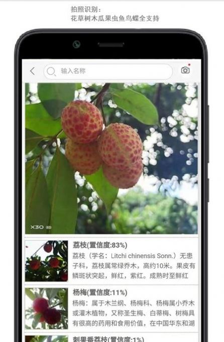 行色识花app官方版下载图片1