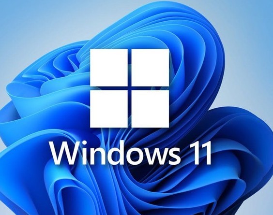 win11中文打字只显示字母怎么解决-win11输入法失效只能打英文解决办法