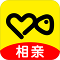 伊对app