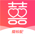 爱般配安卓