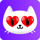 婚恋中心安卓版